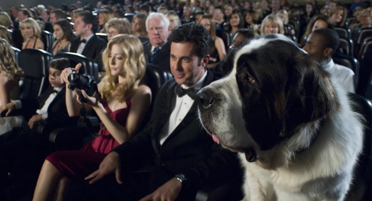 Beethoven's Big Break