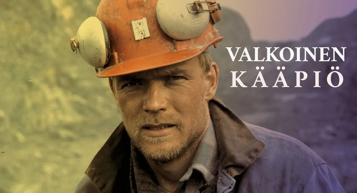 Valkoinen kääpiö