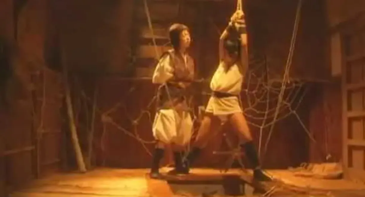 Lady Ninja Kasumi 6: Yukimura Assasination