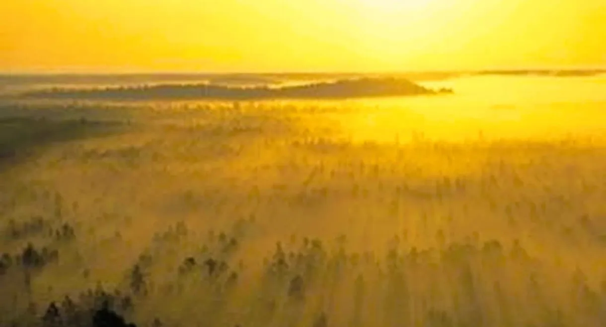 Flight Over Lithuania or 510 Seconds of Silence