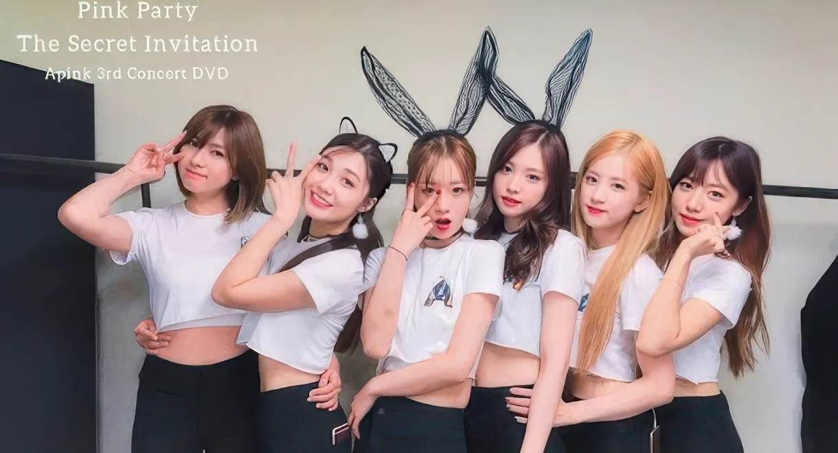 Apink 3rd Concert "Pink Party"