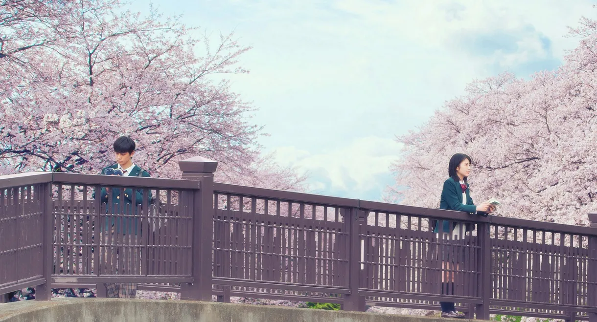 Let Me Eat Your Pancreas
