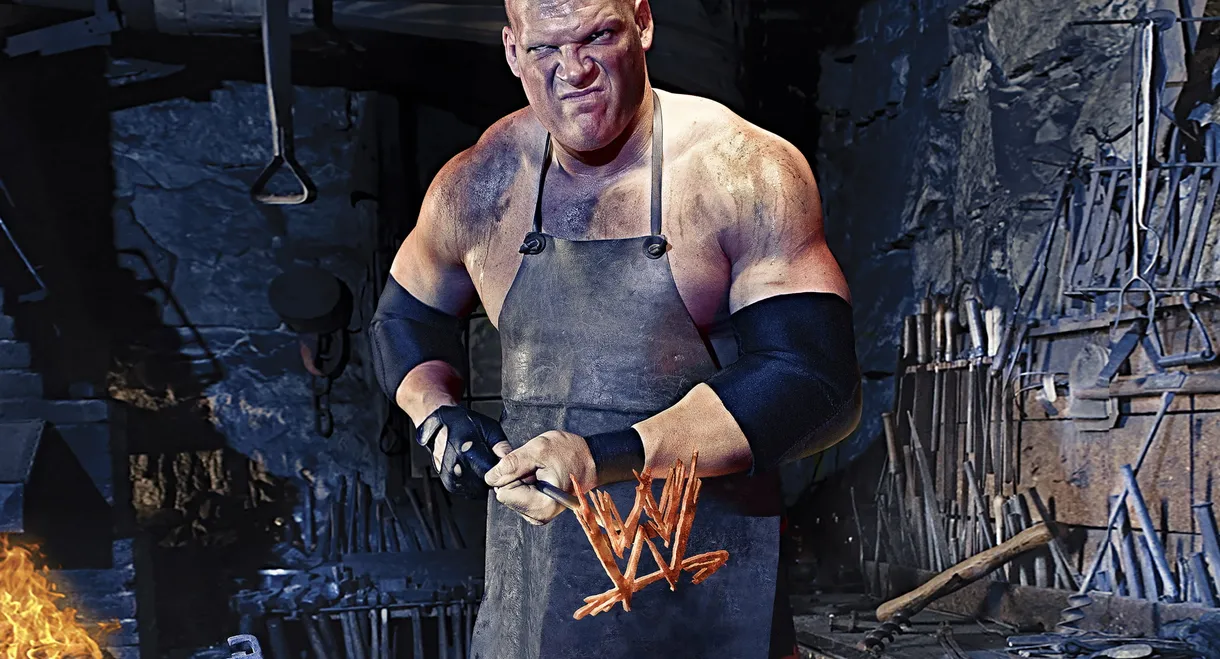 WWE One Night Stand 2008