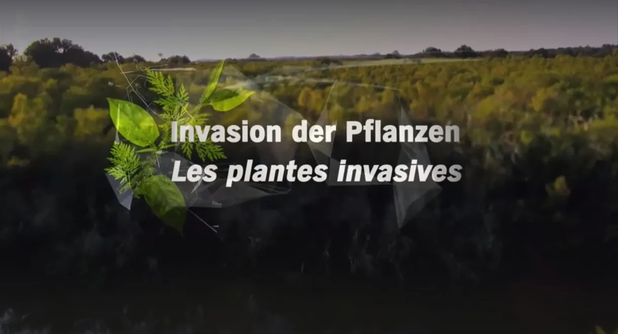 Invasion der Pflanzen - Gefahr für Umwelt und Mensch ?