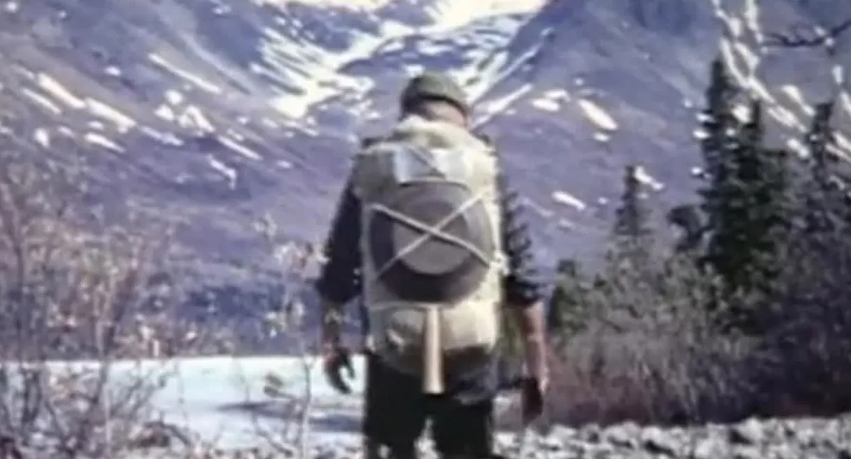 Alone in the Wilderness