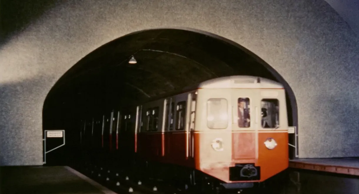 O Metropolitano