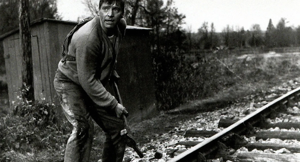 The Train