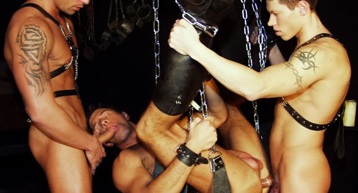 Leather Muscle Studs