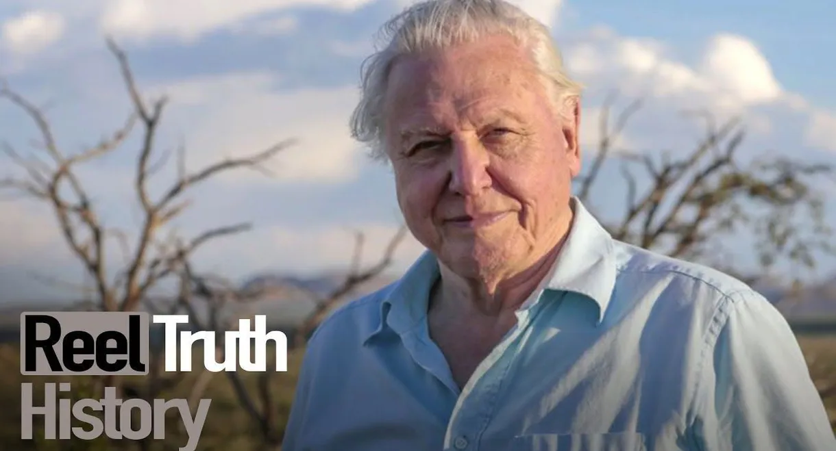 The Lost Elephants of Timbuktu