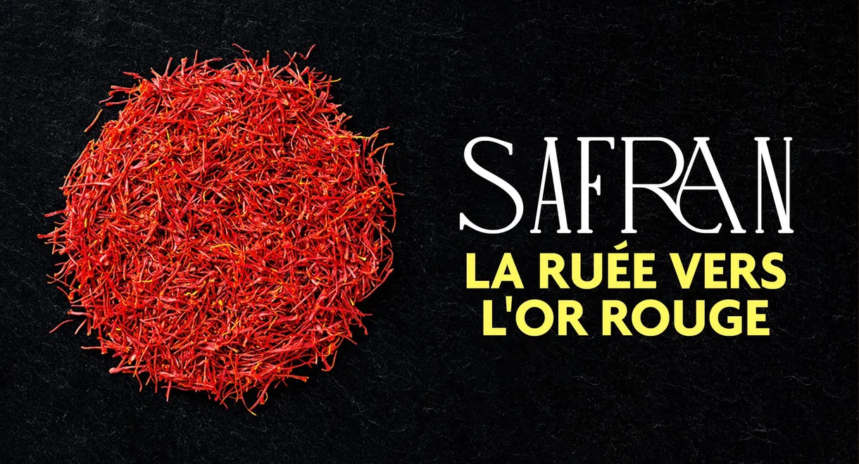 Safran, la ruée vers l'or rouge