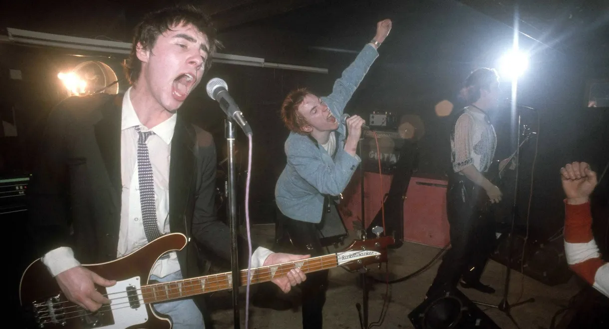 I Was a Teenage Sex Pistol
