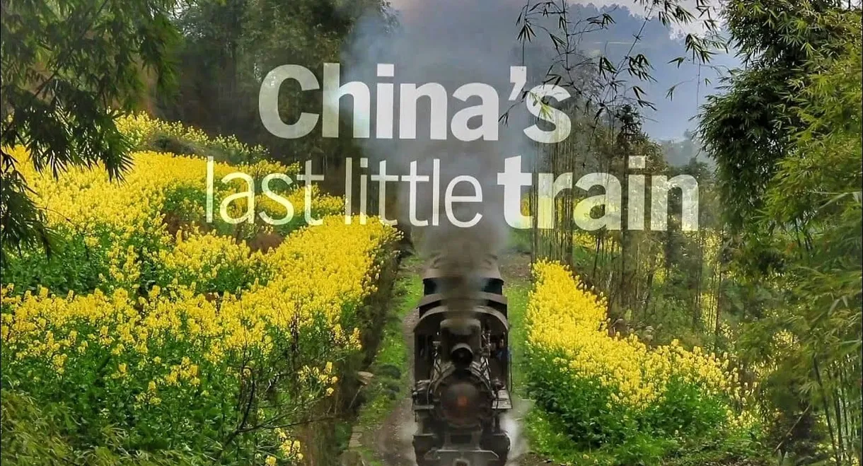 China's Last Little Train