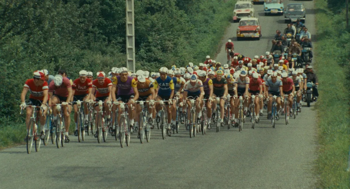 For a Yellow Jersey