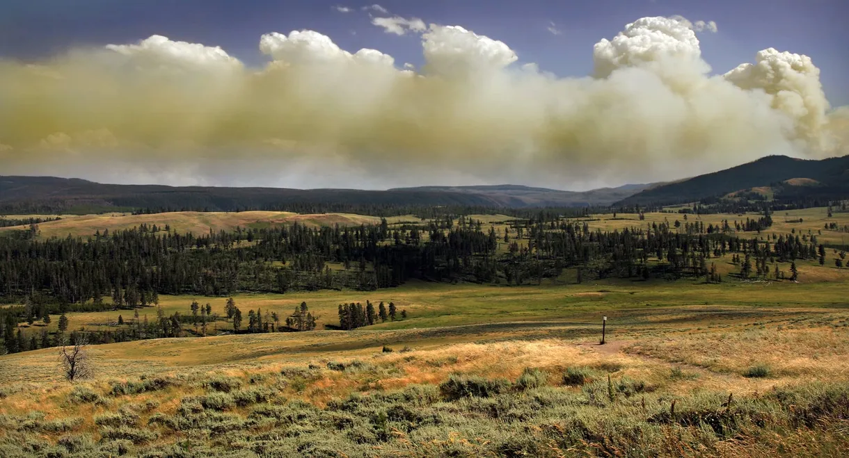 National Parks Exploration Series: Yellowstone