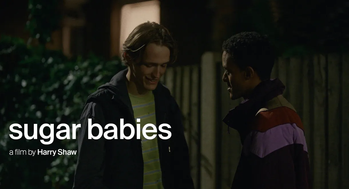 Sugar Babies