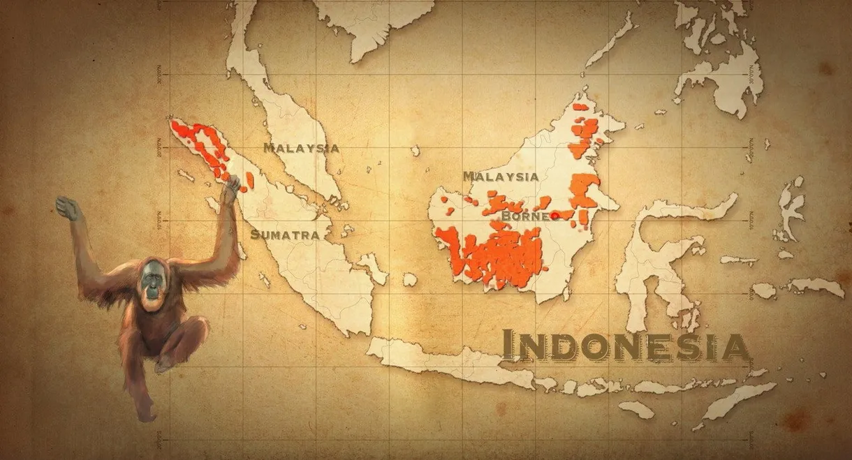 The Great Apes