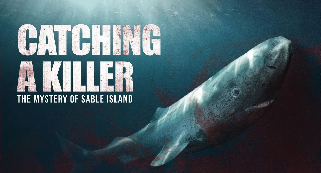 Catching a Killer: The Mystery of Sable Island