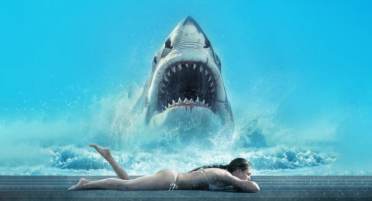 Shark Warning