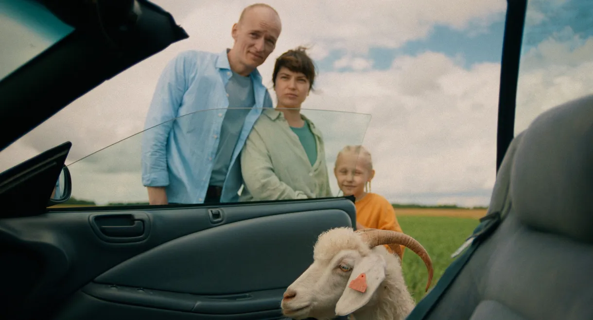 Baa-Baa!
