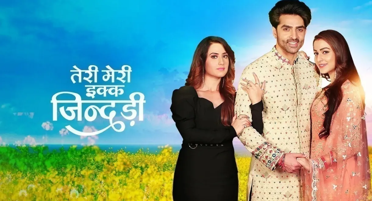 Teri Meri Ikk Jindri