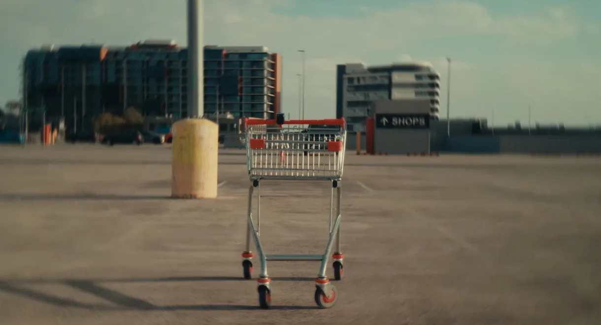 The Trolley Problem