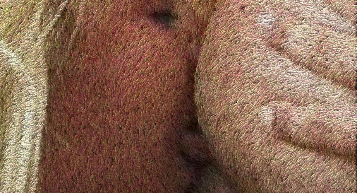 Rough Sex 2
