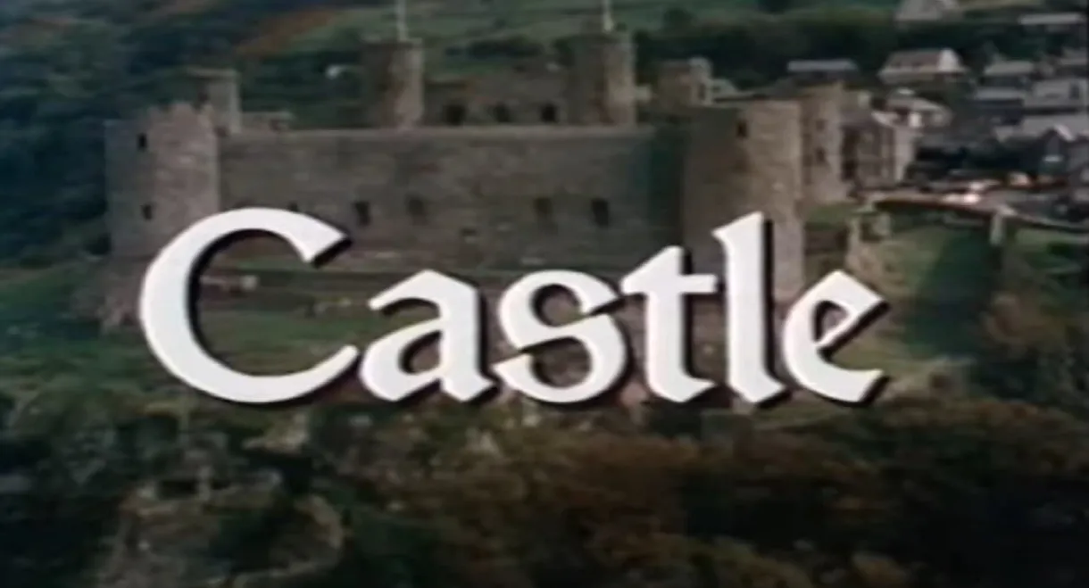 David Macaulay: Castle