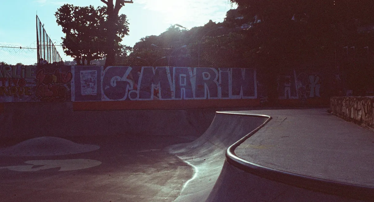 Marina Skatepark