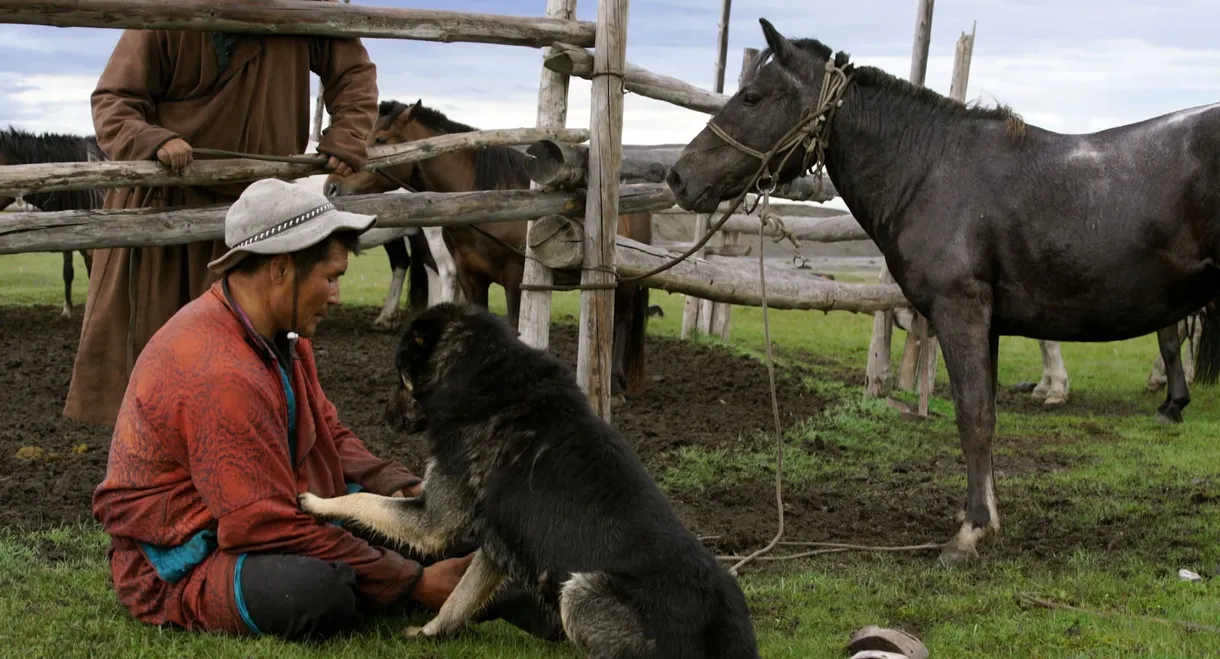 The Bounty Hunter of Mongolia