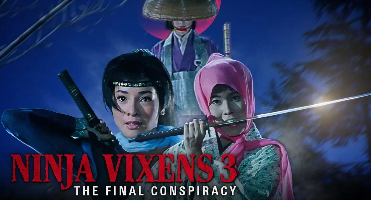 The Ninja Vixens III: The Final Conspiracy