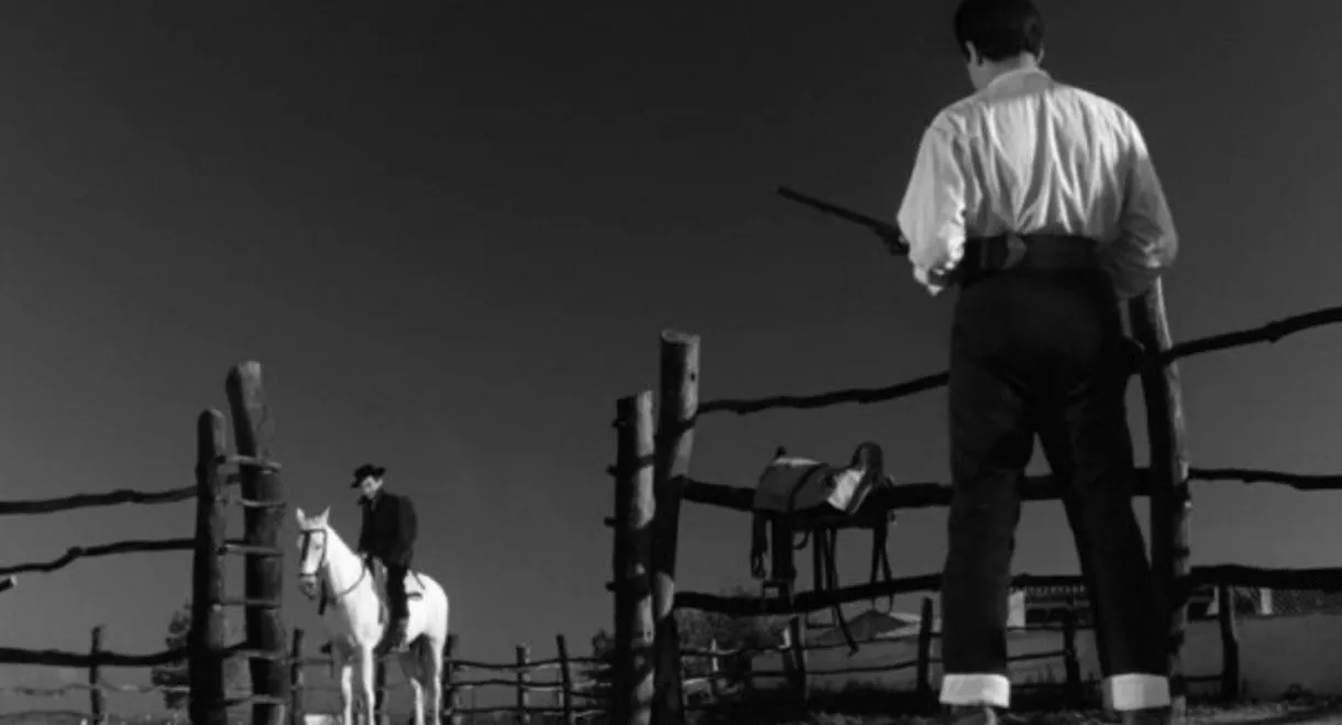 Duelo en la cañada
