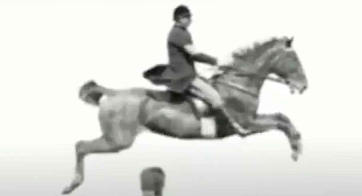 Horse and Rider Jumping Over an Obstacle