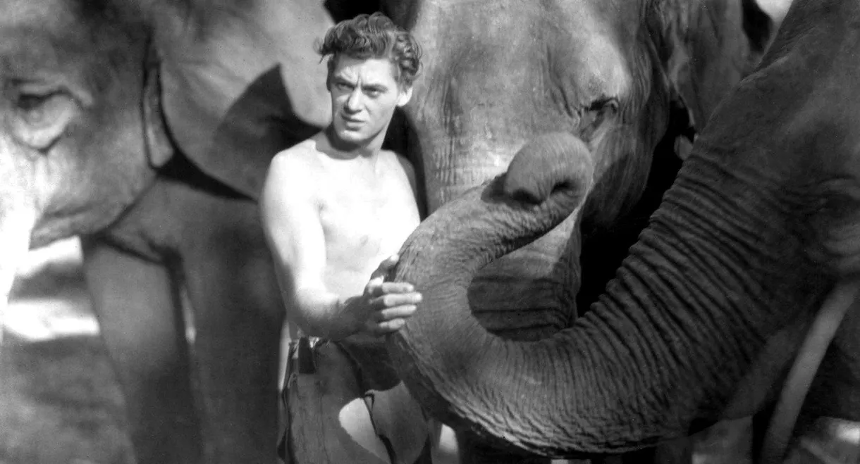 Tarzan the Ape Man