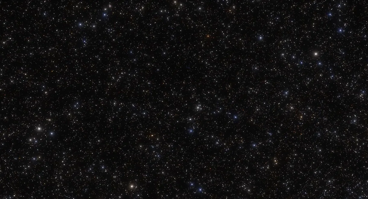 MiP: The Journey Across the Universe