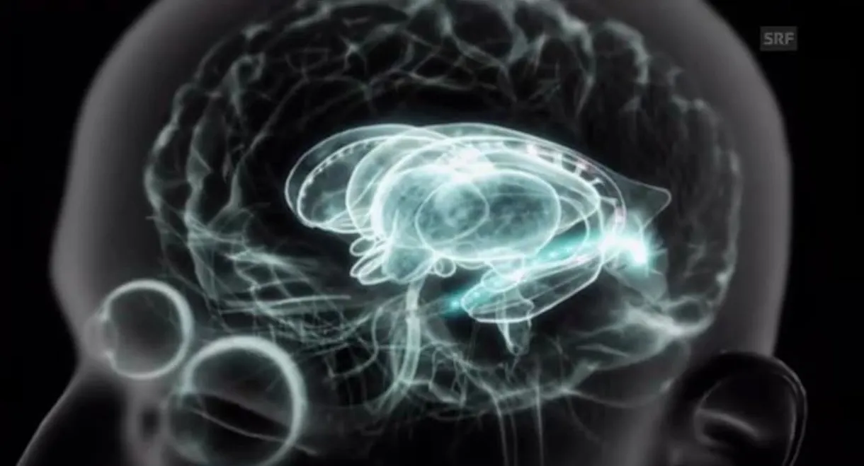 Das automatische Gehirn - Teil 2 - Die Macht des Unbewussten