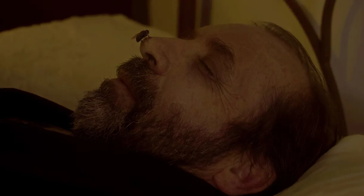 The Fly