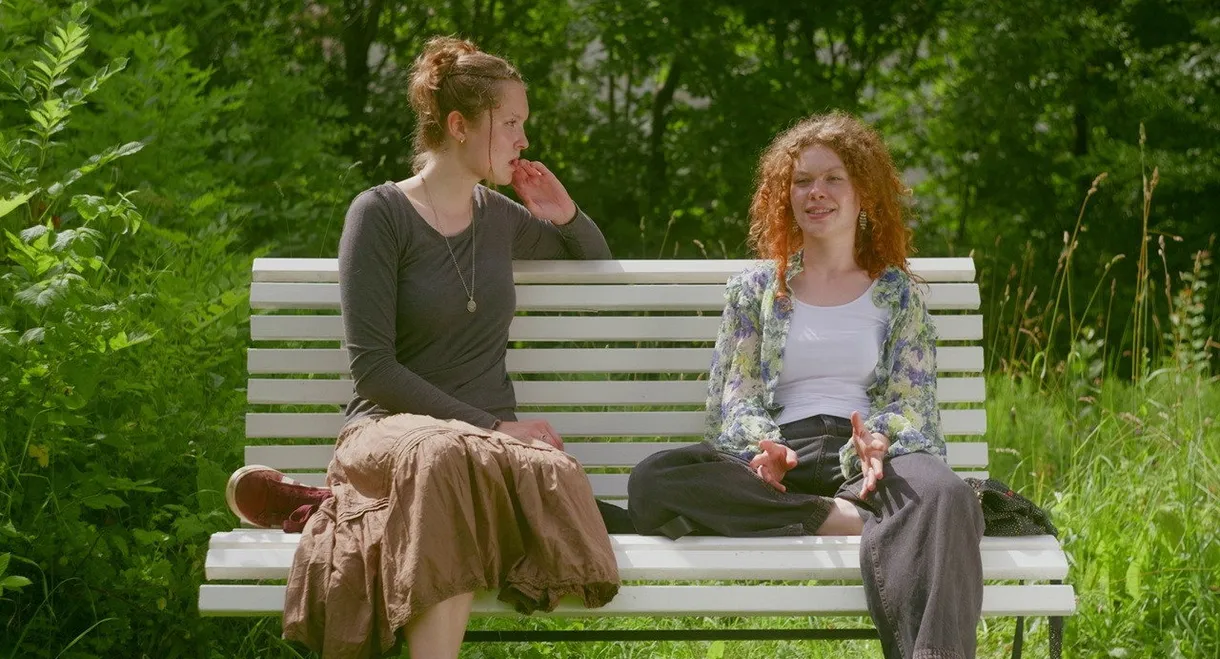 The Park Bench