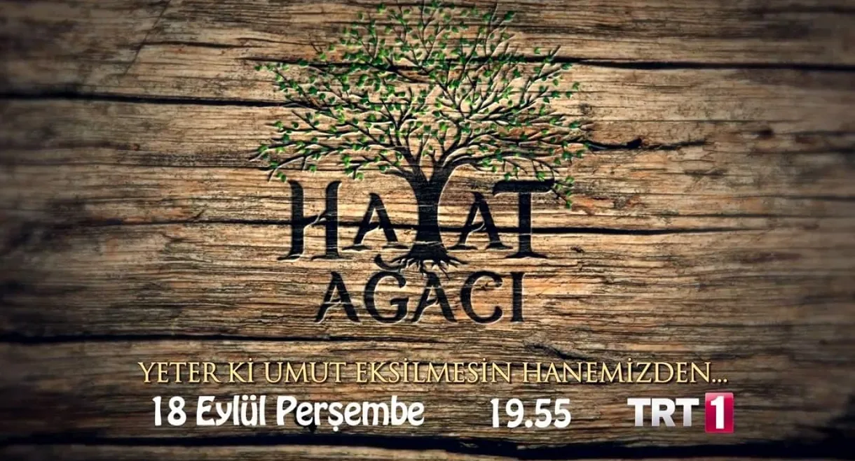 Hayat Ağacı