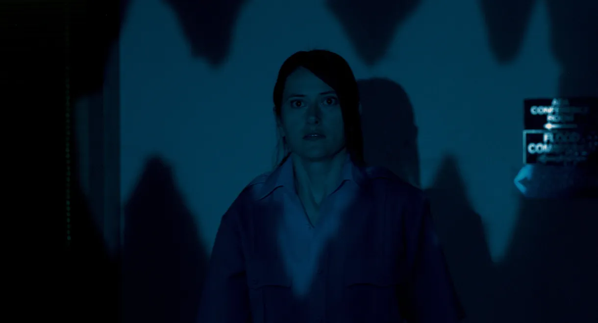 The Shadow