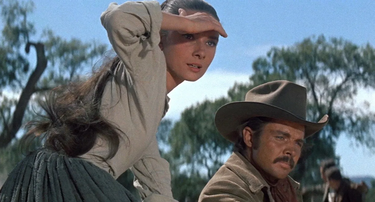 The Unforgiven
