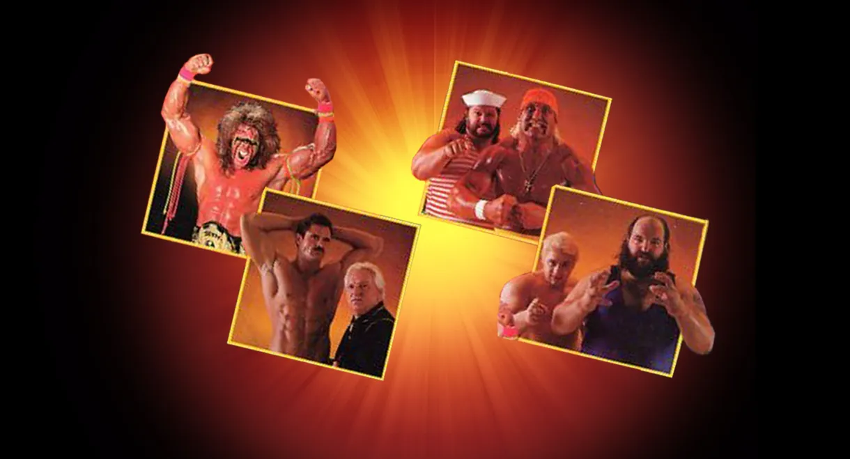 WWE SummerSlam 1990