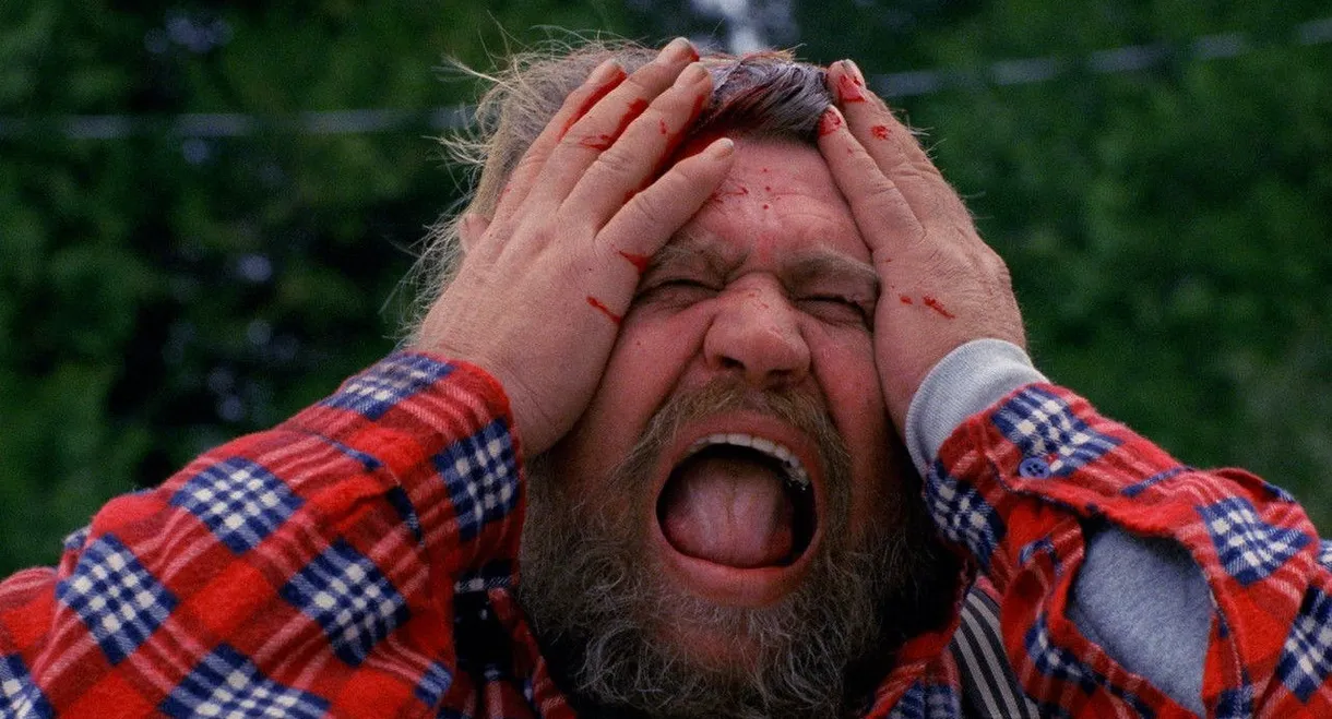 The American Scream