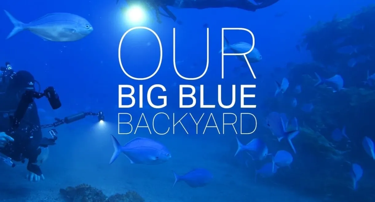 Our Big Blue Backyard