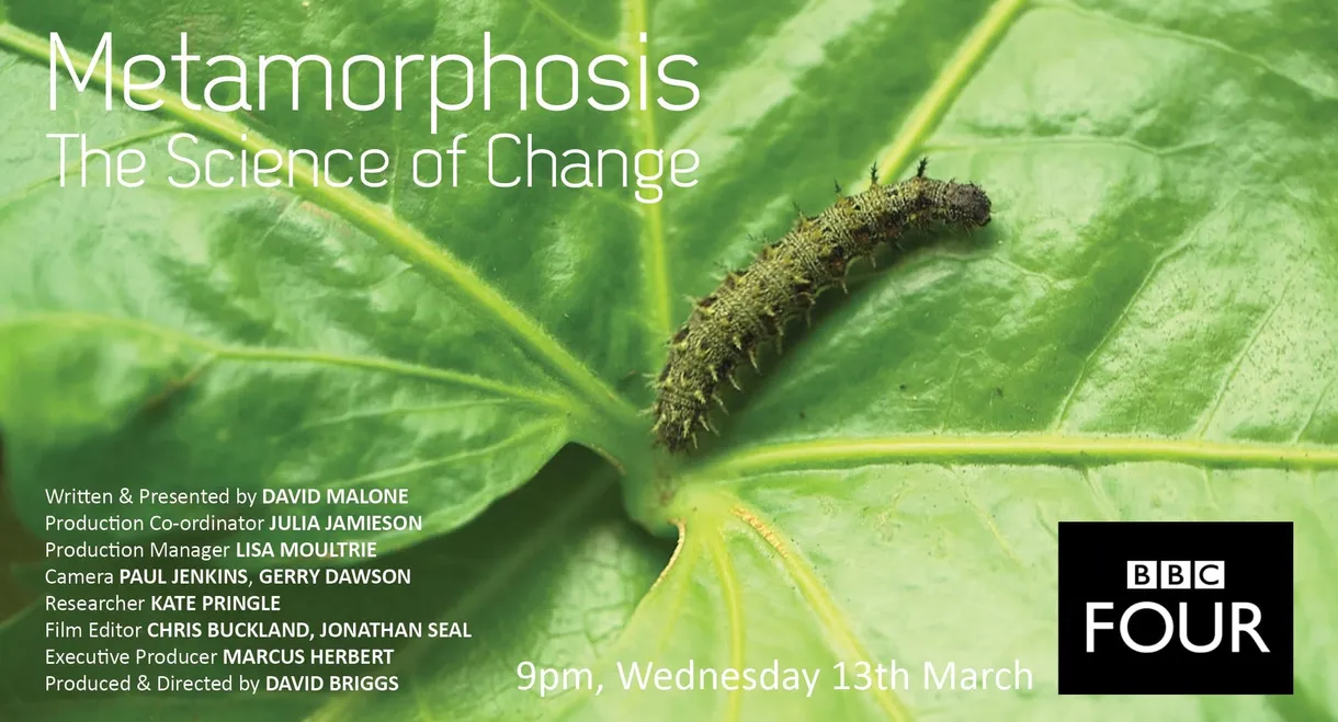 Metamorphosis: The Science of Change