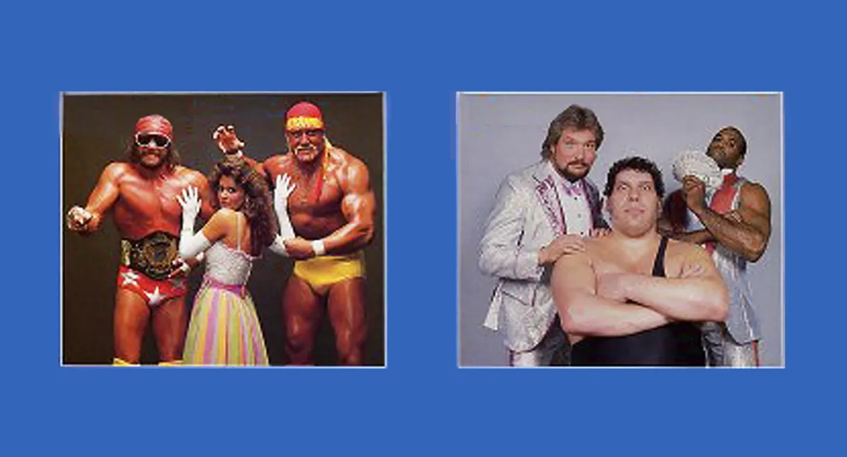 WWE SummerSlam 1988