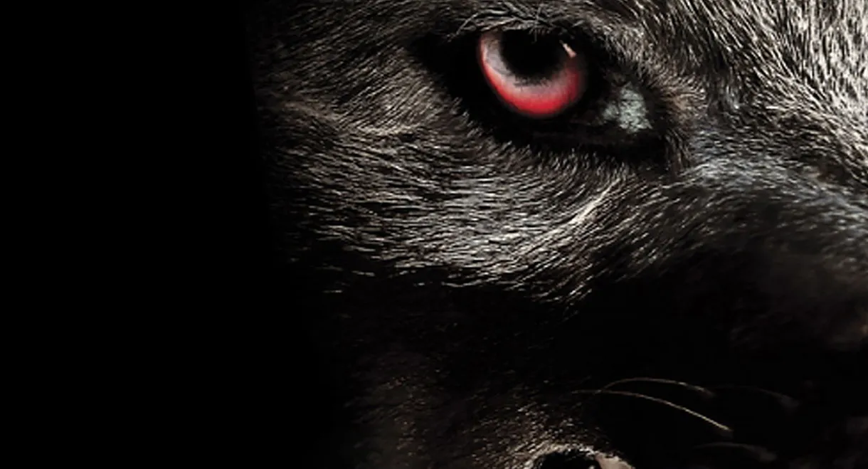 Monsterwolf