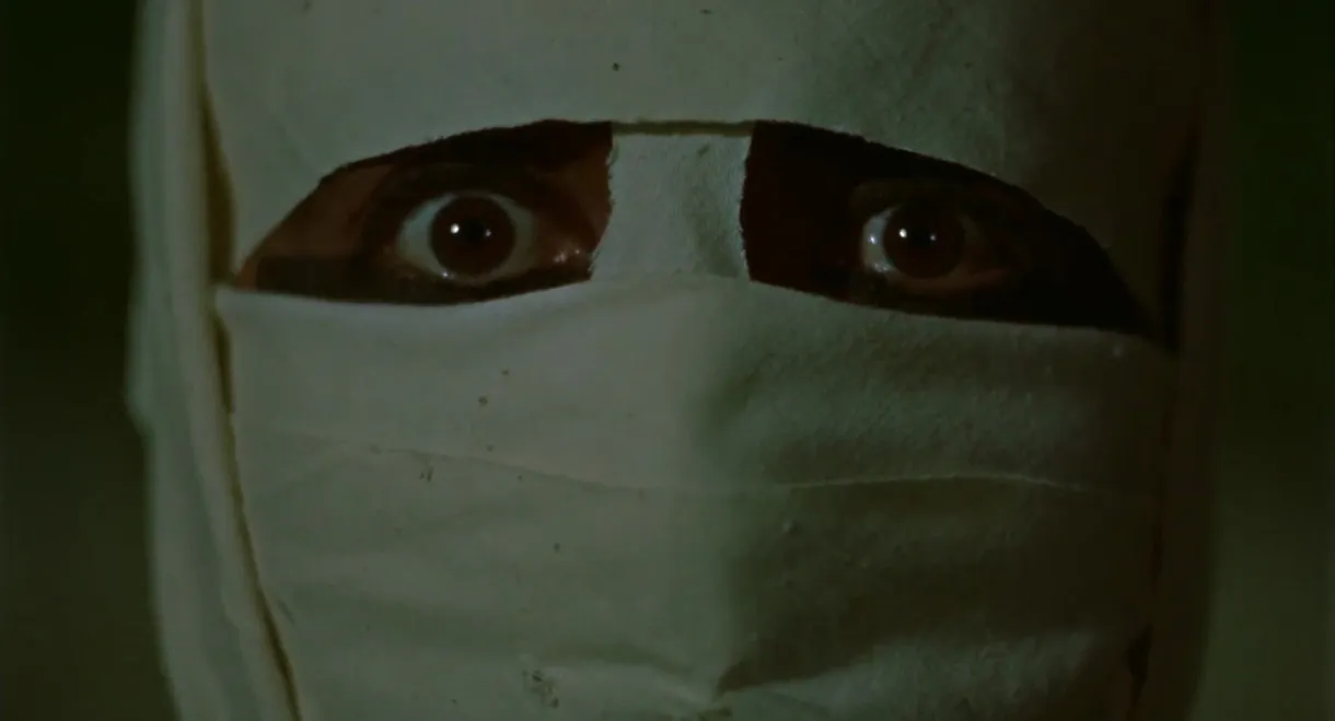 The Mummy