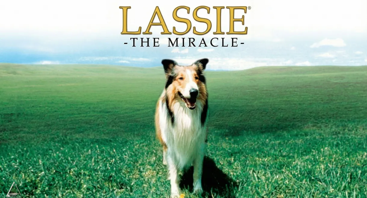 Lassie: The Miracle