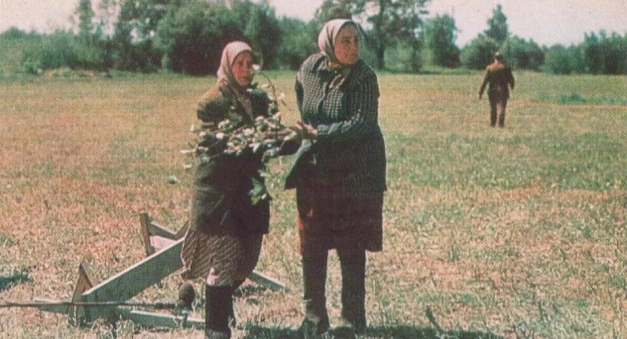 Widows
