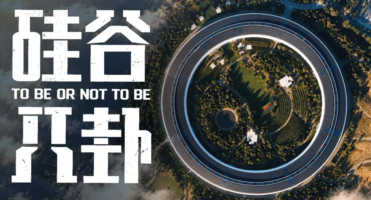 硅谷八卦